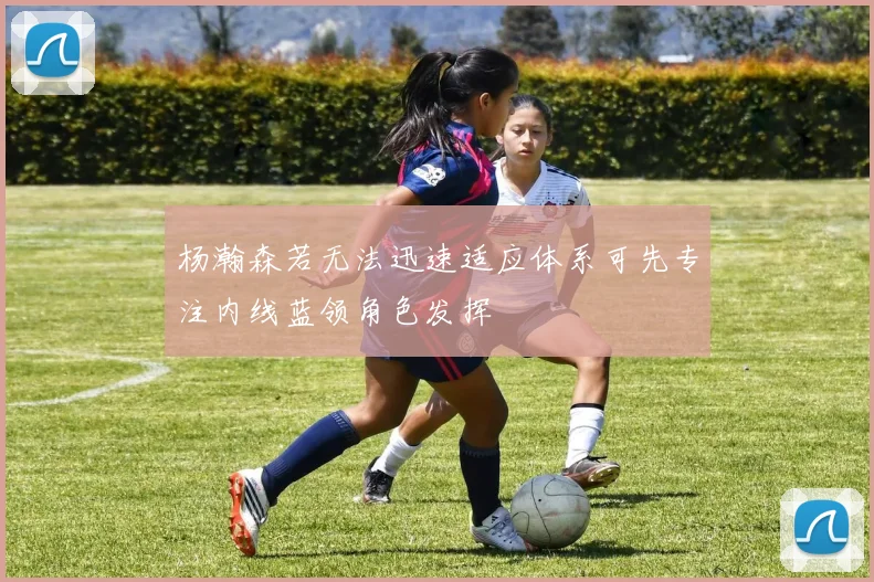 杨瀚森若无法迅速适应体系可先专注内线蓝领角色发挥