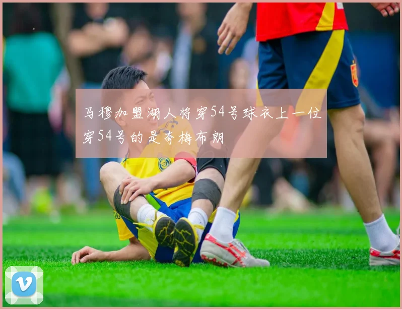 马穆加盟湖人将穿54号球衣上一位穿54号的是夸梅布朗